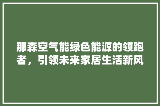 那森空气能绿色能源的领跑者，引领未来家居生活新风尚 清洁保养