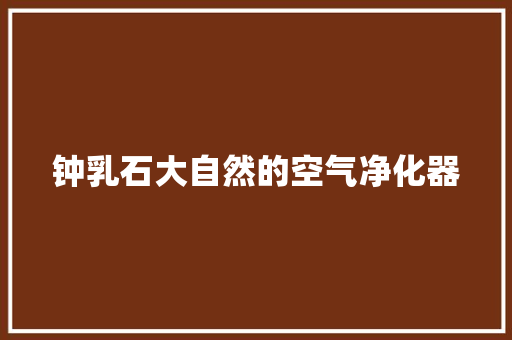 钟乳石大自然的空气净化器 灯具安装