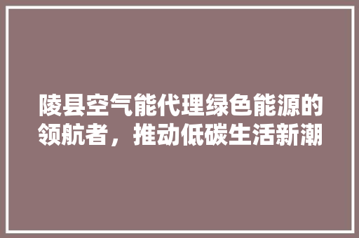 陵县空气能代理绿色能源的领航者，推动低碳生活新潮流 热水器