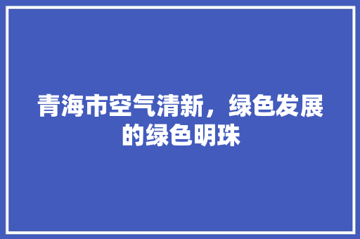 青海市空气清新，绿色发展的绿色明珠 家电维护