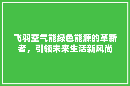 飞羽空气能绿色能源的革新者，引领未来生活新风尚 翻新改色