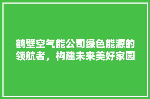 鹤壁空气能公司绿色能源的领航者，构建未来美好家园 家电维护