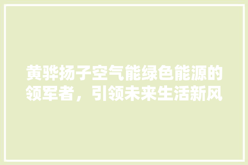 黄骅扬子空气能绿色能源的领军者，引领未来生活新风尚 家电维护