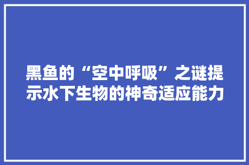 黑鱼的“空中呼吸”之谜提示水下生物的神奇适应能力 龙头管件