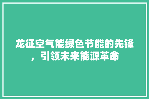 龙征空气能绿色节能的先锋，引领未来能源革命 冰箱