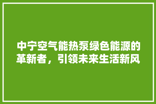 中宁空气能热泵绿色能源的革新者，引领未来生活新风尚 局部翻新