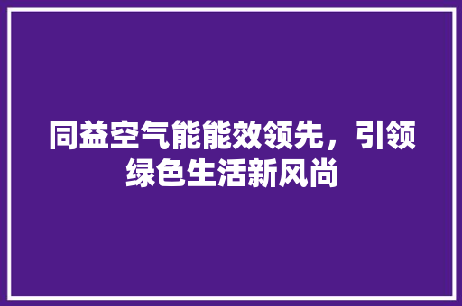 同益空气能能效领先，引领绿色生活新风尚 家居维修