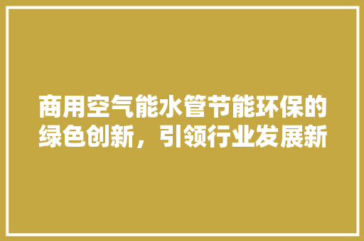 商用空气能水管节能环保的绿色创新，引领行业发展新潮流 旧房改造