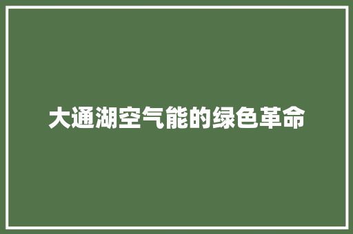大通湖空气能的绿色革命 装修设计