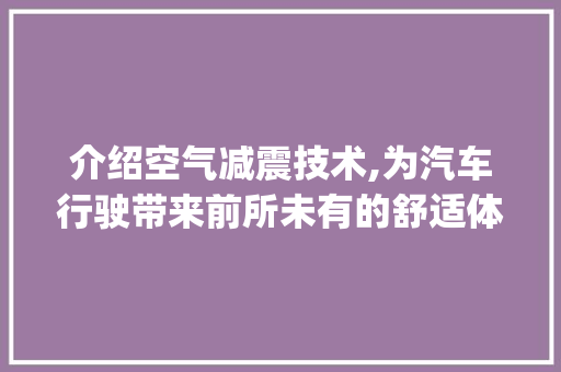 介绍空气减震技术,为汽车行驶带来前所未有的舒适体验_空气减震能升高多少 介绍空气减震技术,为汽车行驶带来前所未有的舒适体验_空气减震能升高多少 龙头管件