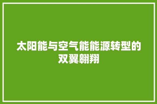 太阳能与空气能能源转型的双翼翱翔 翻新改色