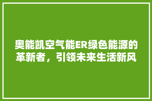 奥能凯空气能ER绿色能源的革新者，引领未来生活新风尚 局部翻新