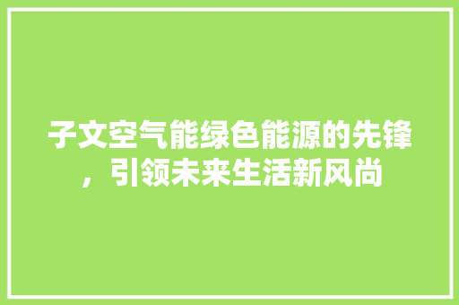 子文空气能绿色能源的先锋，引领未来生活新风尚 空调