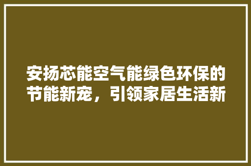 安扬芯能空气能绿色环保的节能新宠，引领家居生活新风尚 热水器