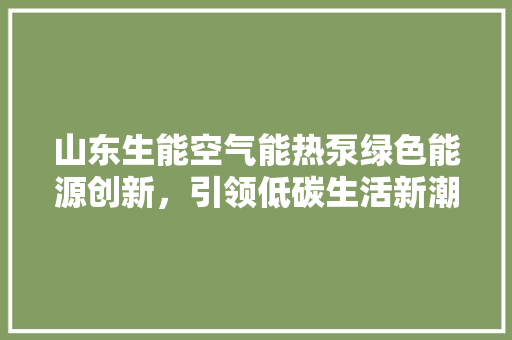 山东生能空气能热泵绿色能源创新，引领低碳生活新潮流 空调