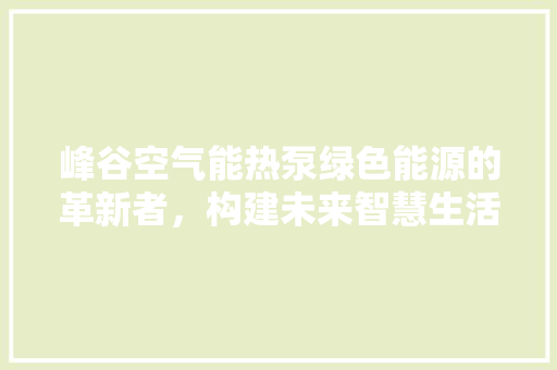 峰谷空气能热泵绿色能源的革新者，构建未来智慧生活 热水器