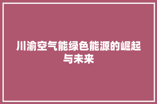 川渝空气能绿色能源的崛起与未来 局部翻新