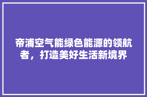 帝浦空气能绿色能源的领航者，打造美好生活新境界 贴膜