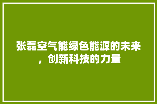 张磊空气能绿色能源的未来，创新科技的力量 翻新改色
