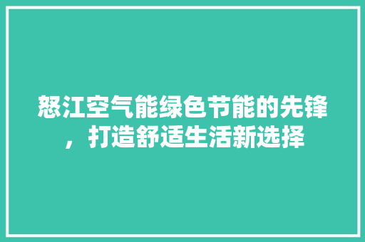 怒江空气能绿色节能的先锋，打造舒适生活新选择 洁具维修
