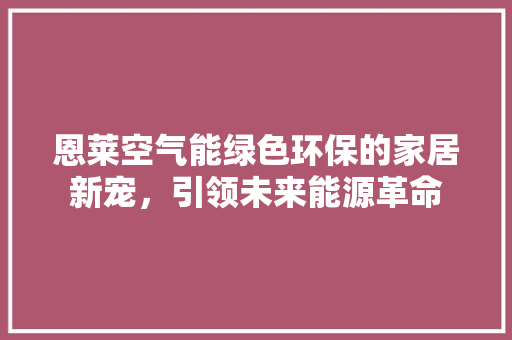 恩莱空气能绿色环保的家居新宠，引领未来能源革命 热水器