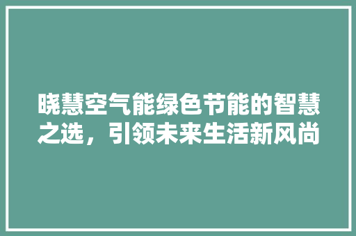 晓慧空气能绿色节能的智慧之选，引领未来生活新风尚 空调