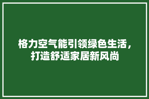 格力空气能引领绿色生活，打造舒适家居新风尚 清洁保养