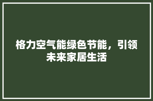 格力空气能绿色节能，引领未来家居生活 清洁保养
