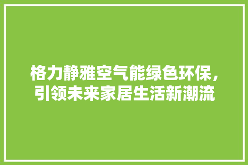 格力静雅空气能绿色环保，引领未来家居生活新潮流 家具修理