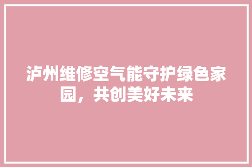 泸州维修空气能守护绿色家园，共创美好未来 灯具安装