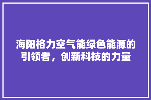 海阳格力空气能绿色能源的引领者，创新科技的力量 家居维修