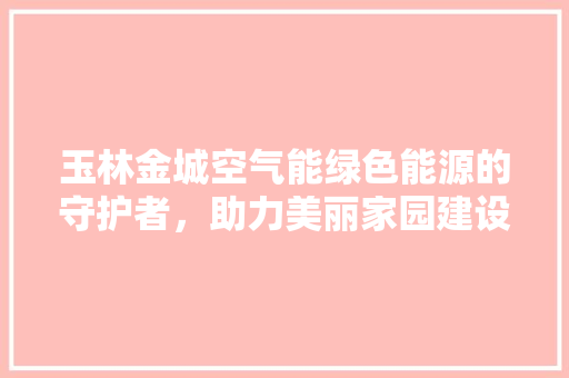 玉林金城空气能绿色能源的守护者，助力美丽家园建设 家电维护