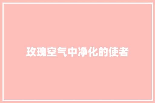 玫瑰空气中净化的使者 家电维护