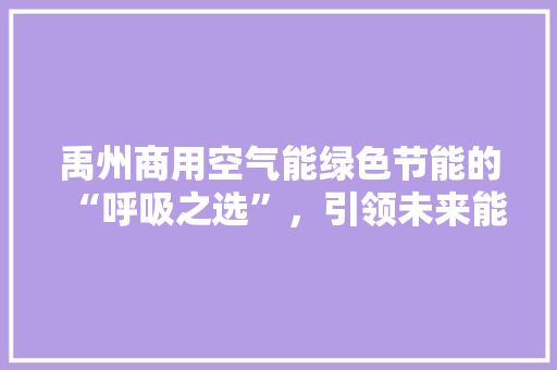 禹州商用空气能绿色节能的“呼吸之选”，引领未来能源新潮流 热水器