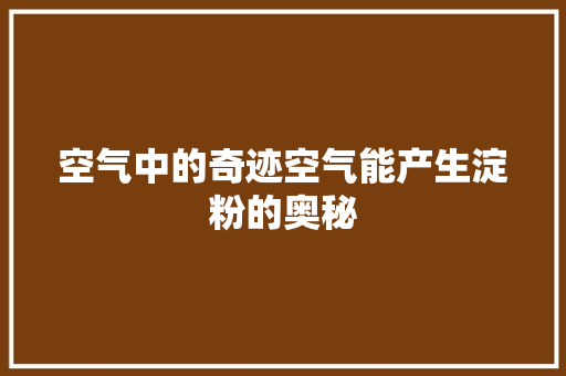 空气中的奇迹空气能产生淀粉的奥秘 灯具安装