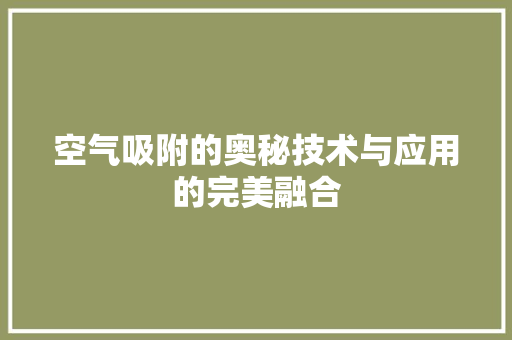 空气吸附的奥秘技术与应用的完美融合 局部翻新