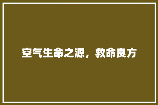 空气生命之源，救命良方 洁具维修