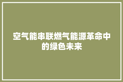 空气能串联燃气能源革命中的绿色未来 龙头管件
