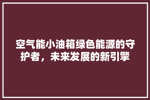 空气能小油箱绿色能源的守护者，未来发展的新引擎 清洁保养