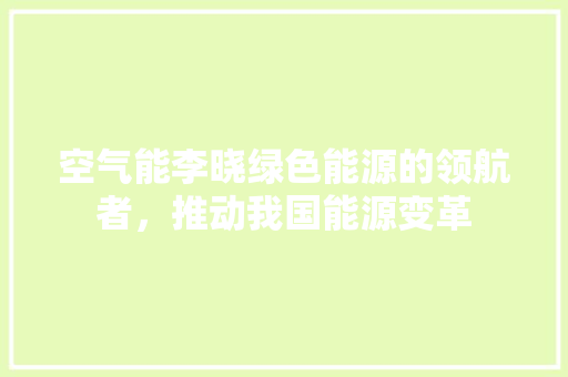 空气能李晓绿色能源的领航者，推动我国能源变革 清洁保养