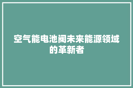 空气能电池阀未来能源领域的革新者 局部翻新