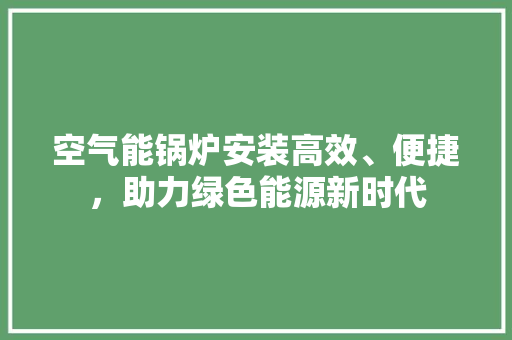 空气能锅炉安装高效、便捷，助力绿色能源新时代 洗衣机