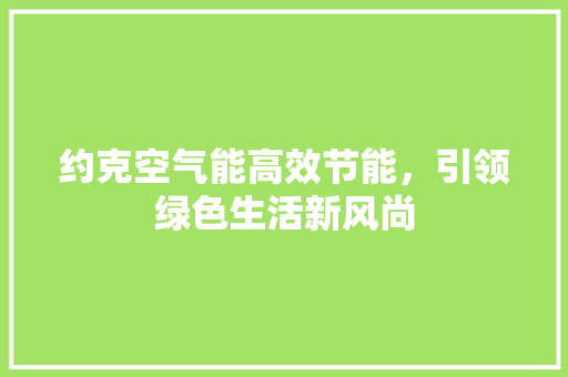 约克空气能高效节能，引领绿色生活新风尚 家电维护