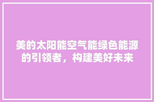 美的太阳能空气能绿色能源的引领者，构建美好未来 洗衣机