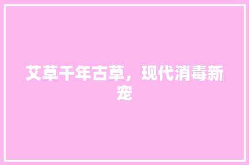 艾草千年古草，现代消毒新宠 翻新改色