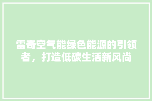 雷奇空气能绿色能源的引领者，打造低碳生活新风尚 热水器