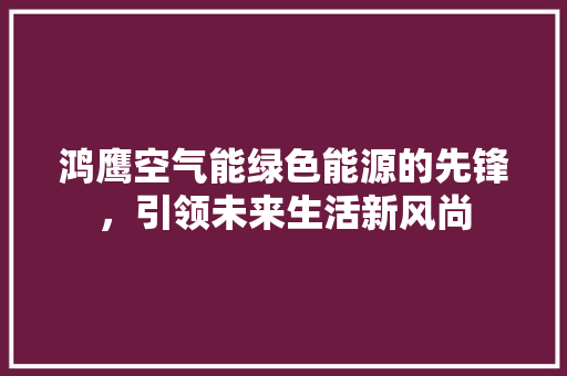 鸿鹰空气能绿色能源的先锋，引领未来生活新风尚 家电维护
