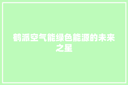 鹤派空气能绿色能源的未来之星 洗衣机