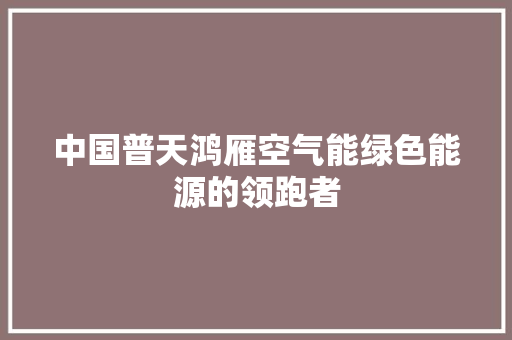 中国普天鸿雁空气能绿色能源的领跑者 家电维护