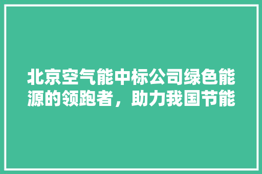 北京空气能中标公司绿色能源的领跑者，助力我国节能减排事业 热水器